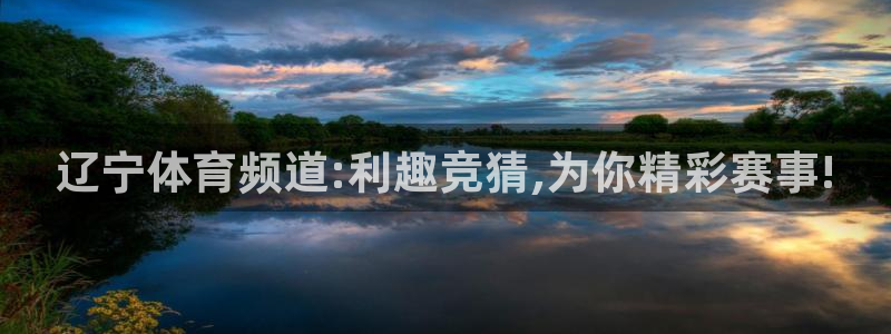 so米体育app下载：辽宁体育频道:利趣竞猜,为你精彩赛事!
