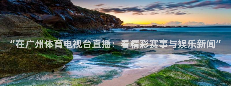 so米体育直播吧：“在广州体育电视台直播：看精彩赛事与娱乐新闻”
